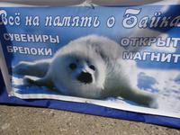 Russland, Werbung für die Baikalrobben