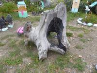 Gastfamilie Soja &ndash; &copy; Sabine Letzybyll (Eberhardt TRAVEL)
