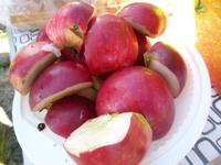 Picknick &ndash; &copy; Sabine Letzybyll (Eberhardt TRAVEL)