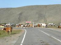 unterwegs &ndash; &copy; Sabine Letzybyll (Eberhardt TRAVEL)