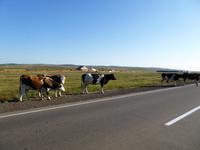 unterwegs &ndash; &copy; Sabine Letzybyll (Eberhardt TRAVEL)