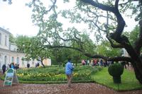 Peterhof &ndash; &copy; Alfia Döring (Eberhardt TRAVEL)