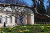 die Orangerie &ndash; &copy; Alfia Döring (Eberhardt TRAVEL)