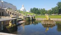 Springbrunnen in Peterhof &ndash; &copy; Maxi Goldbach (Eberhardt TRAVEL)