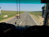 P80731-123244 &ndash; &copy; Ksenia Parfenova (Eberhardt TRAVEL)