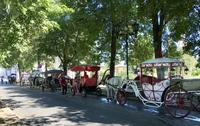 Susdal: Ausflug per Kutsche &ndash; &copy; Magda-Viola Hanke (Eberhardt TRAVEL)