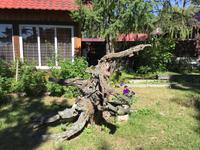 Bolschije Koty &ndash; &copy; Sabine Letzybyll (Eberhardt TRAVEL)