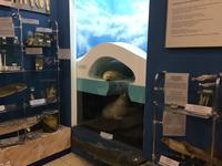 Baikal Museum &ndash; &copy; Sabine Letzybyll (Eberhardt TRAVEL)