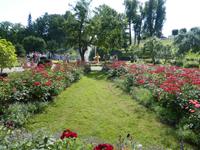 Peterhof &ndash; &copy; Alina Konstantinov (Eberhardt TRAVEL)