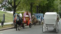 Nahverkehr &ndash; &copy; Hanna Köster (Eberhardt TRAVEL)