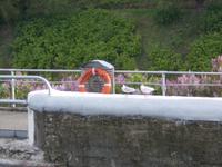 DSCN3368 &ndash; &copy; Kerstin Veit (Eberhardt TRAVEL)