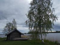 DSCN3460
