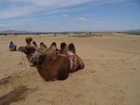 Siesta &ndash; &copy; Elke Knappe (Eberhardt TRAVEL)