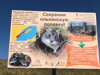Tierschutz Baikalsee &ndash; &copy; Sabine Letzybyll (Eberhardt TRAVEL)