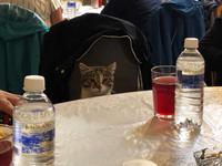 ein neuer Gast :-) &ndash; &copy; Sabine Letzybyll (Eberhardt TRAVEL)
