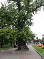 Wolgograd 24 &ndash; &copy; Alina Konstantinov (Eberhardt TRAVEL)