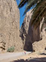 Wadi Tayib Ism &ndash; &copy; Frank Nimschowski (Eberhardt TRAVEL)