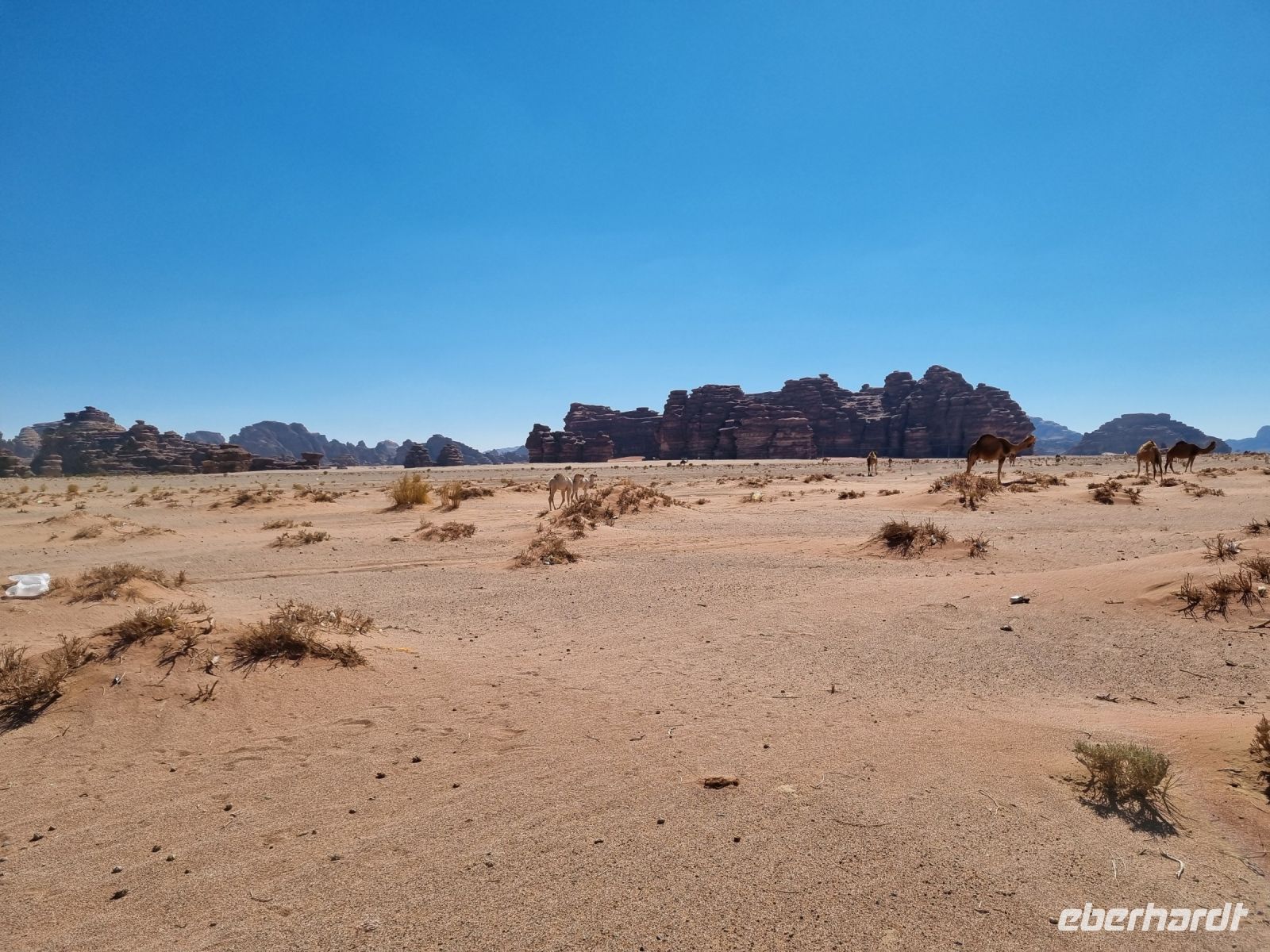 Ausflug Wadi Al Lawz &ndash; &copy; Katrin Deutschbein (Eberhardt TRAVEL)