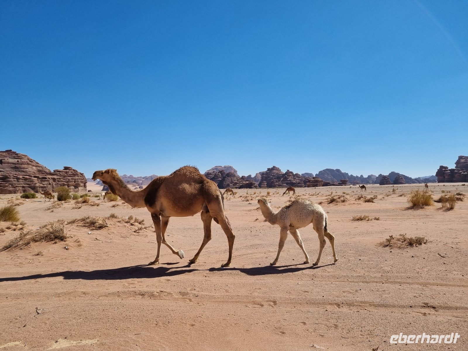 Ausflug Wadi Al Lawz &ndash; &copy; Katrin Deutschbein (Eberhardt TRAVEL)