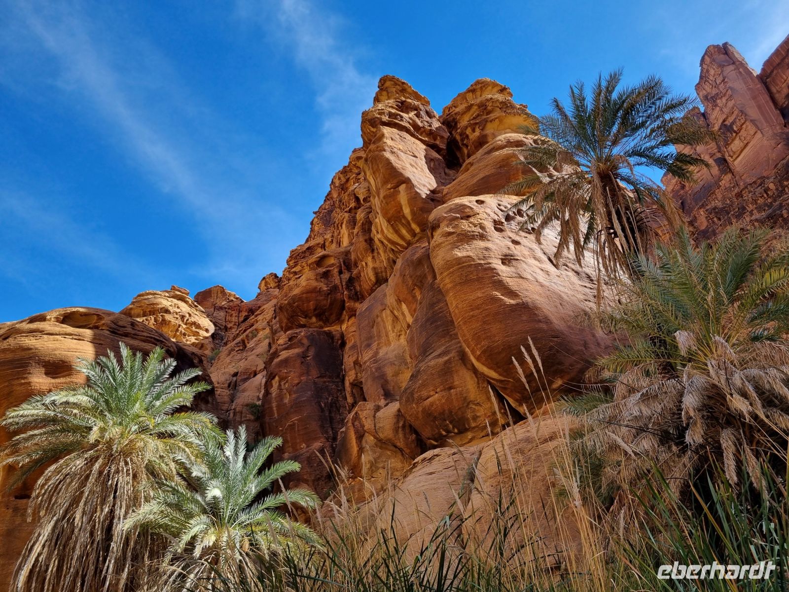 Wadi Al Disah &ndash; &copy; Katrin Deutschbein (Eberhardt TRAVEL)