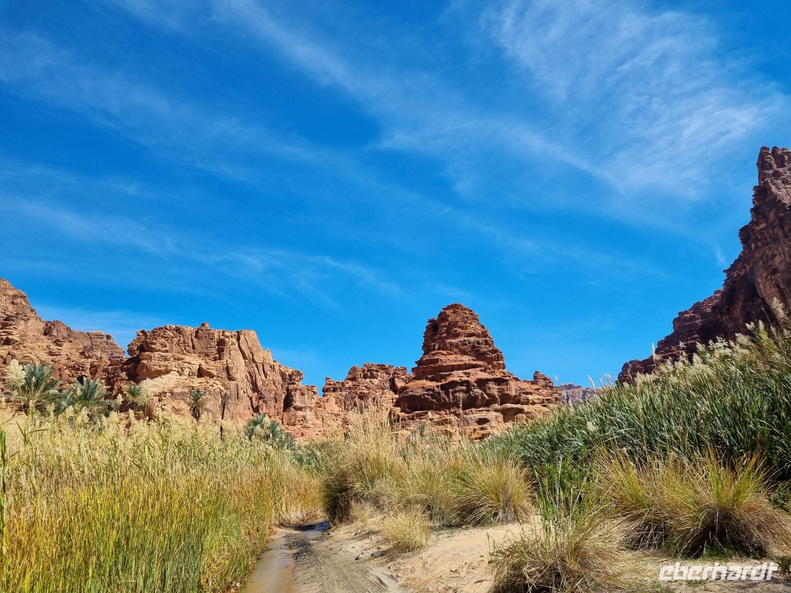 Wadi Al Disah &ndash; &copy; Katrin Deutschbein (Eberhardt TRAVEL)