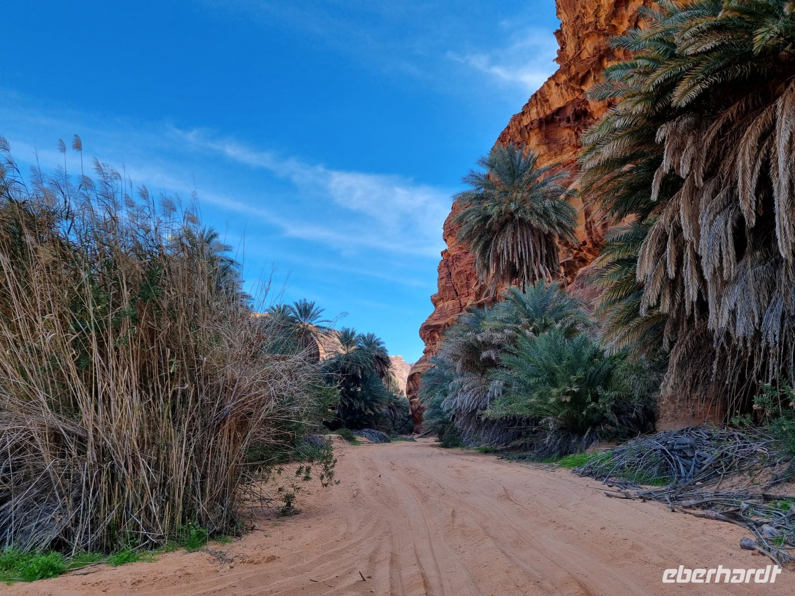 Wadi Al Disah &ndash; &copy; Katrin Deutschbein (Eberhardt TRAVEL)