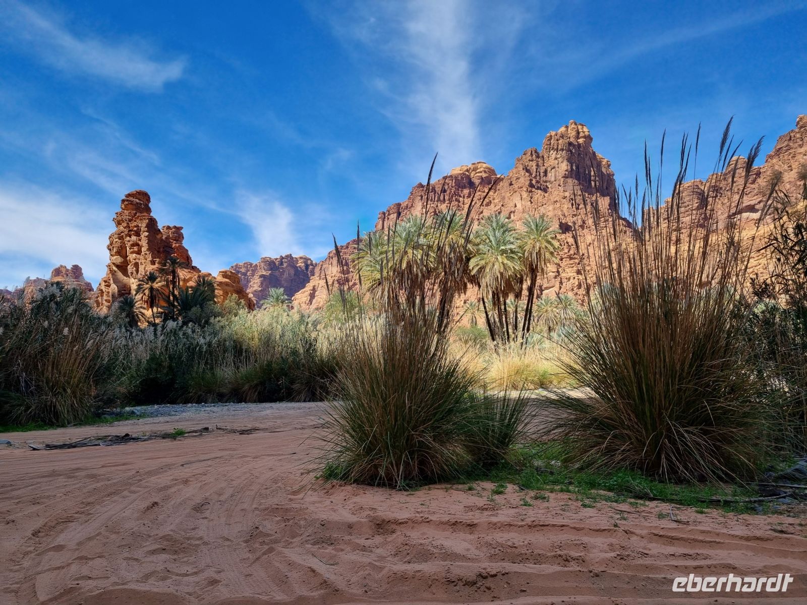 Wadi Al Disah &ndash; &copy; Katrin Deutschbein (Eberhardt TRAVEL)