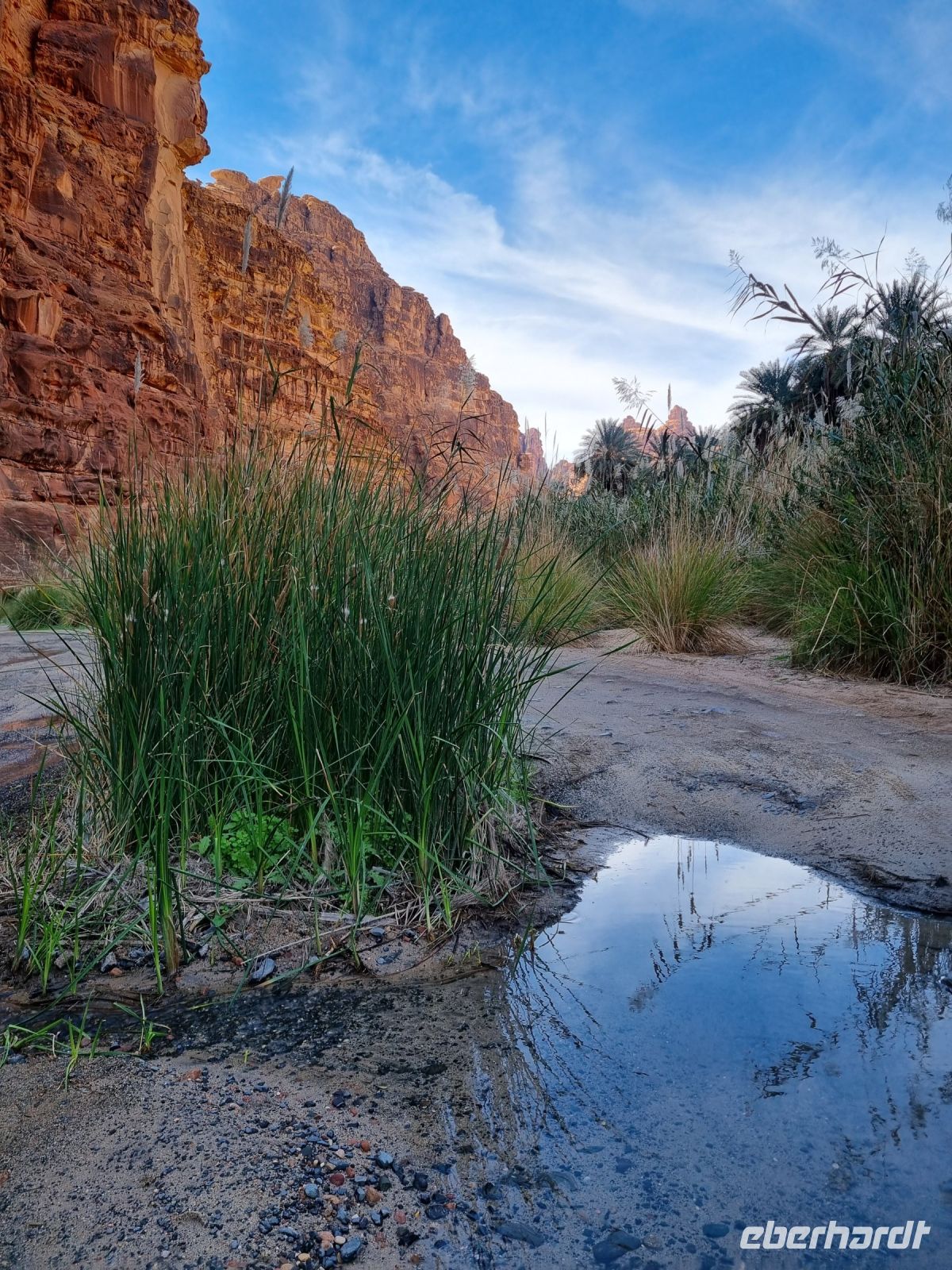 Wadi Al Disah &ndash; &copy; Katrin Deutschbein (Eberhardt TRAVEL)