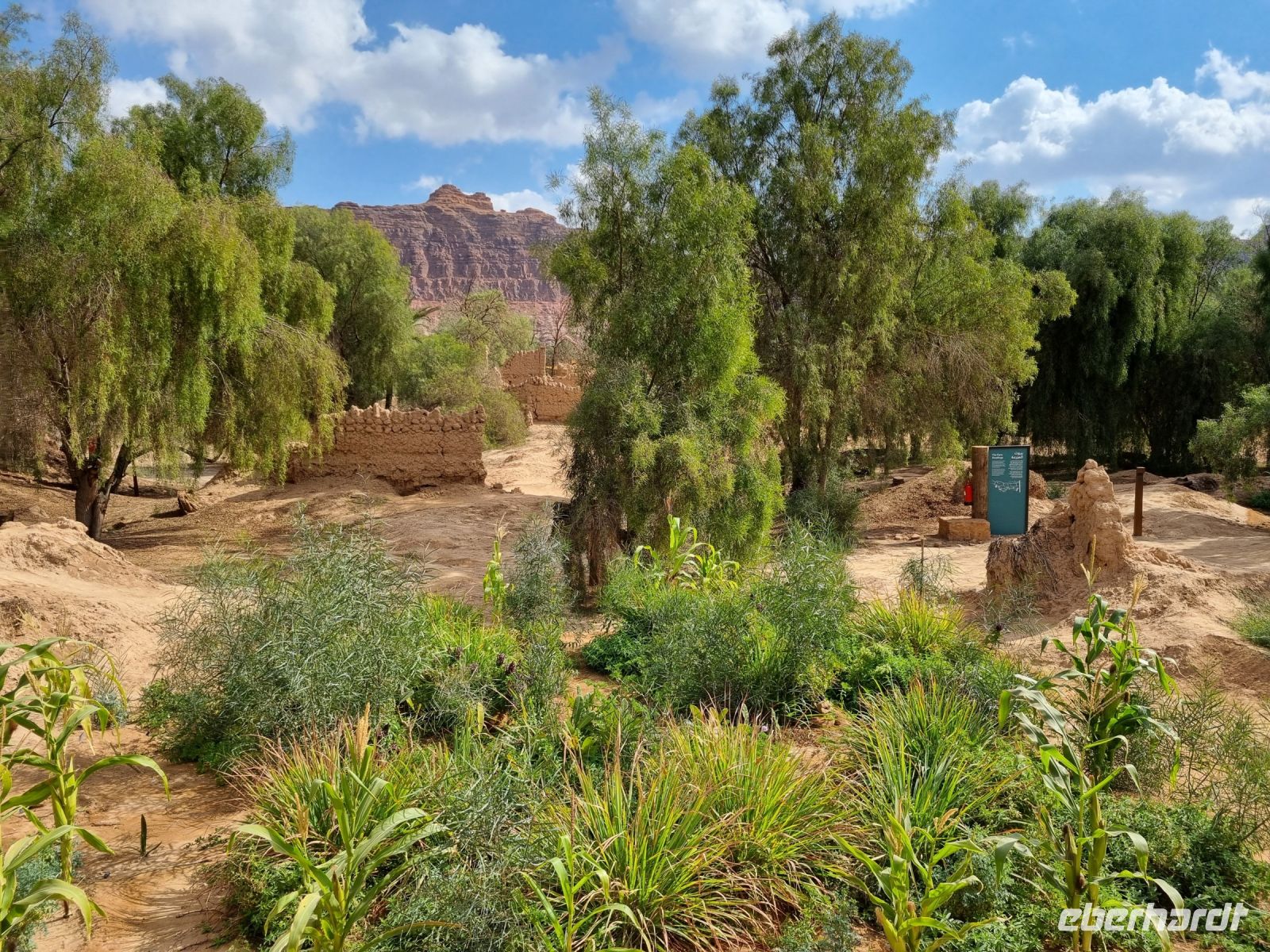 Al-Ula - Oase Daimumah &ndash; &copy; Katrin Deutschbein (Eberhardt TRAVEL)