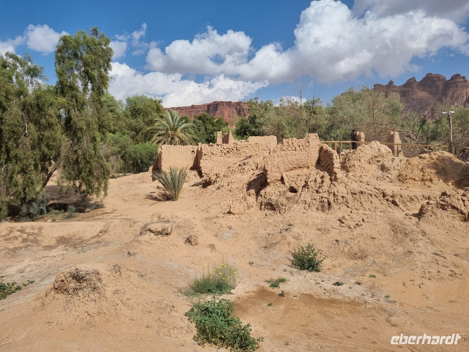 Al-Ula - Oase Daimumah &ndash; &copy; Katrin Deutschbein (Eberhardt TRAVEL)