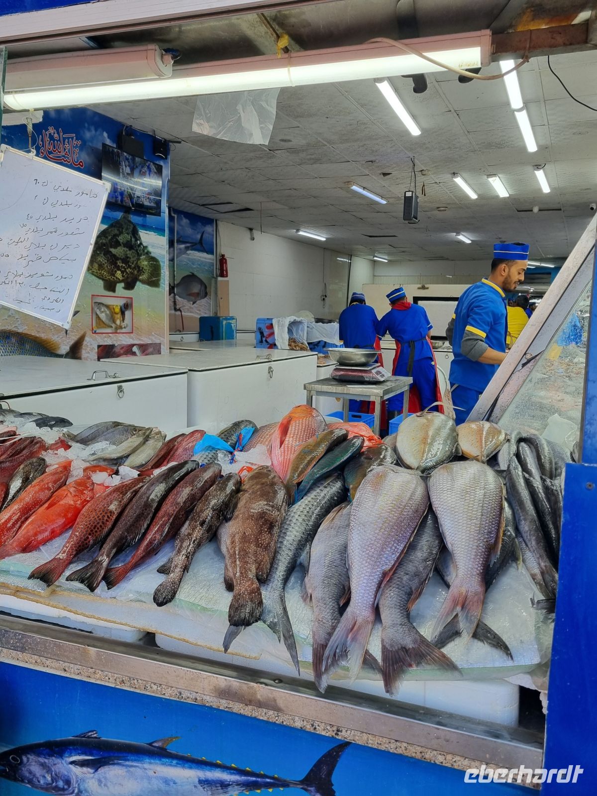 Jeddah - Fischmarkt  &ndash; &copy; Katrin Deutschbein (Eberhardt TRAVEL)