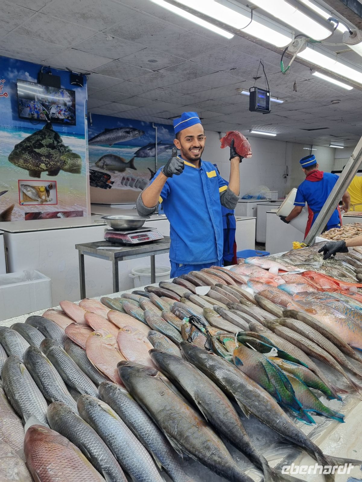 Jeddah - Fischmarkt  &ndash; &copy; Katrin Deutschbein (Eberhardt TRAVEL)