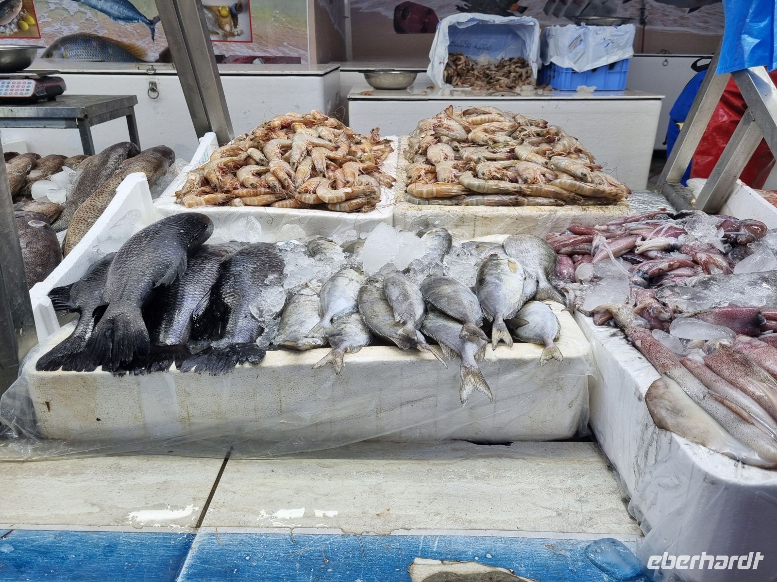 Jeddah - Fischmarkt  &ndash; &copy; Katrin Deutschbein (Eberhardt TRAVEL)