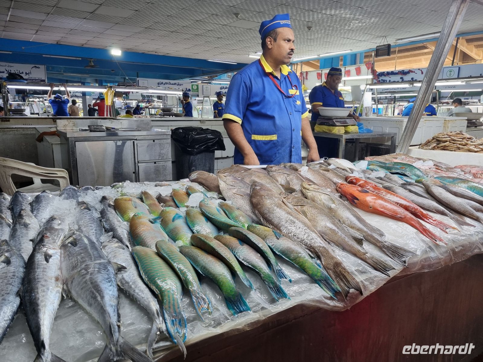 Jeddah - Fischmarkt  &ndash; &copy; Katrin Deutschbein (Eberhardt TRAVEL)