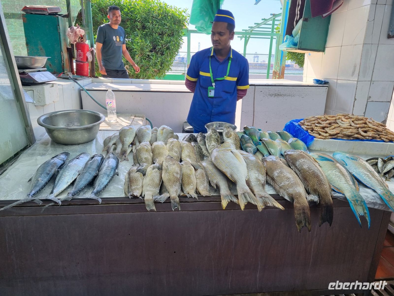 Jeddah - Fischmarkt  &ndash; &copy; Katrin Deutschbein (Eberhardt TRAVEL)