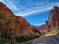 Wadi Al Disah &ndash; &copy; Katrin Deutschbein (Eberhardt TRAVEL)
