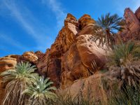 Wadi Al Disah &ndash; &copy; Katrin Deutschbein (Eberhardt TRAVEL)