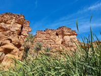 Wadi Al Disah &ndash; &copy; Katrin Deutschbein (Eberhardt TRAVEL)