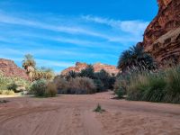 Wadi Al Disah &ndash; &copy; Katrin Deutschbein (Eberhardt TRAVEL)