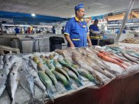 Jeddah - Fischmarkt  &ndash; &copy; Katrin Deutschbein (Eberhardt TRAVEL)