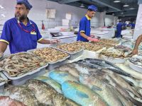 Fischmarkt Jeddah &ndash; &copy; Frank Nimschowski (Eberhardt TRAVEL)