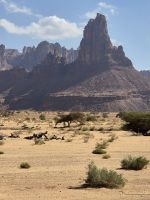 Wadi Dissah &ndash; &copy; Frank Nimschowski (Eberhardt TRAVEL)