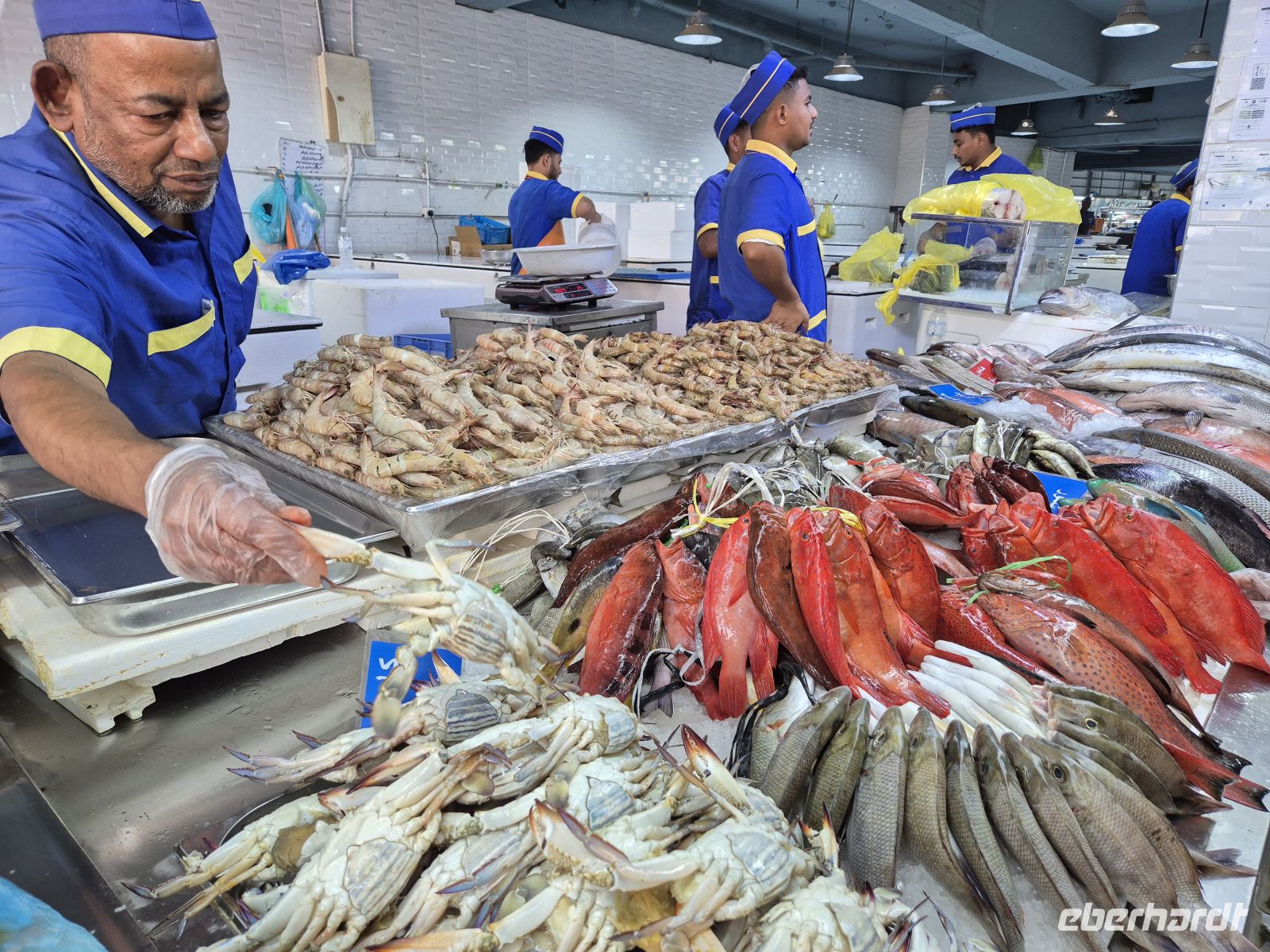 Fischmarkt Jeddah &ndash; &copy; Frank Nimschowski (Eberhardt TRAVEL)