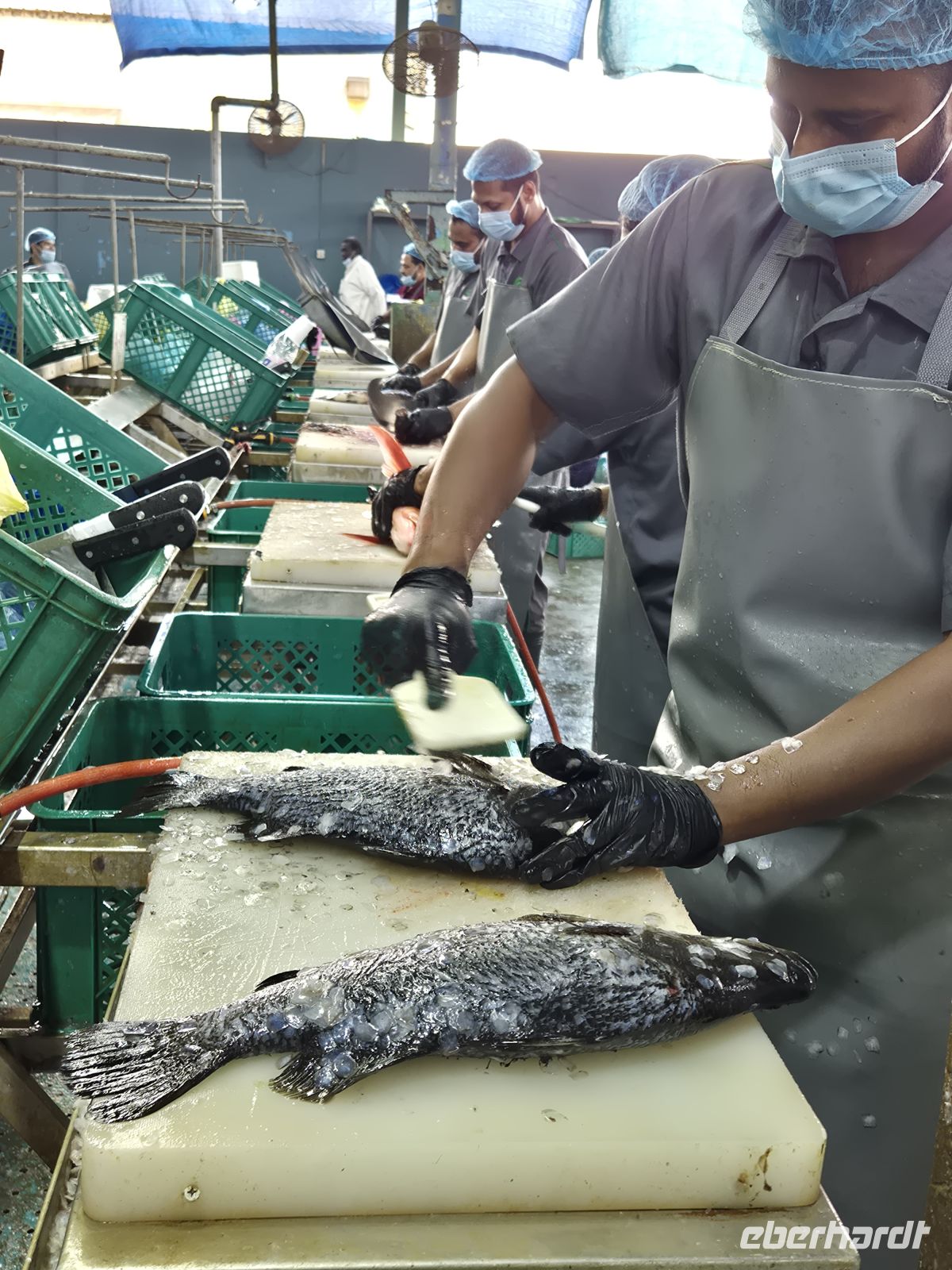 Fischmarkt Jeddah &ndash; &copy; Frank Nimschowski (Eberhardt TRAVEL)