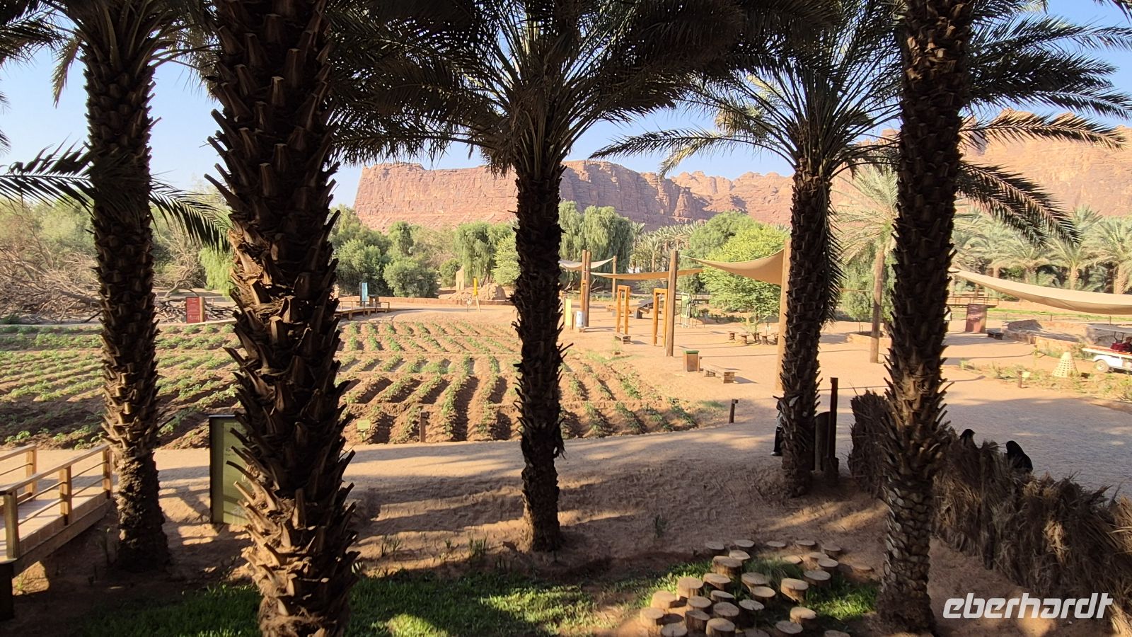 Oase in Al Ula &ndash; &copy; Frank Nimschowski (Eberhardt TRAVEL)