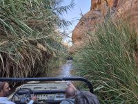 Wadi Dissah &ndash; &copy; Frank Nimschowski (Eberhardt TRAVEL)