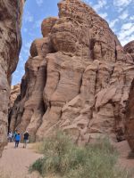 Neom Natural Reserve &ndash; &copy; Frank Nimschowski (Eberhardt TRAVEL)