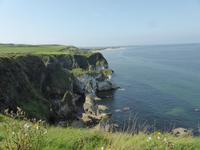 Giant´s Causeway &ndash; &copy; Claudia Bernhardt (Eberhardt TRAVEL)