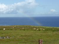 Ceidhe Fields &ndash; &copy; Claudia Bernhardt (Eberhardt TRAVEL)