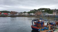 20220613 131402 Oban &ndash; &copy; Marlies Thrum (Eberhardt TRAVEL)